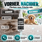 🔥🎁 2+1 GRATIS!!🥳 Tiefenreinigendes Teppichspray – entfernt hartnäckige Flecken und neutralisiert Gerüche sofort!