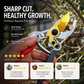 🔥Sofortig sauber schneiden! SK5 Heavy-Duty-Gartenschere