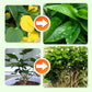 Slow-Release Plant Fertilizer Sticks