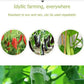 🌿 50% RABATT! 🍅 Pflanzenclips für Rankpflanzen – Tomatenhalter & Pflanzenbinder aus Kunststoff, Wiederverwendbar & Ideal Für Halt An Spalieren Oder Stäben 🌻