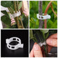 🌿 50% RABATT! 🍅 Pflanzenclips für Rankpflanzen – Tomatenhalter & Pflanzenbinder aus Kunststoff, Wiederverwendbar & Ideal Für Halt An Spalieren Oder Stäben 🌻