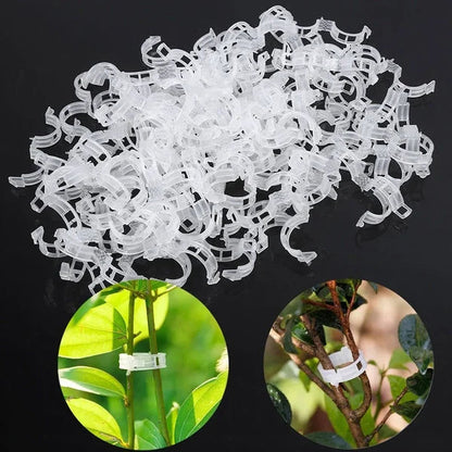 🌿 50% RABATT! 🍅 Pflanzenclips für Rankpflanzen – Tomatenhalter & Pflanzenbinder aus Kunststoff, Wiederverwendbar & Ideal Für Halt An Spalieren Oder Stäben 🌻