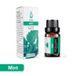 Premium Duft-Ätherische Öle für Diffuser
