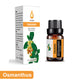 Premium Duft-Ätherische Öle für Diffuser