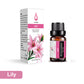 Premium Duft-Ätherische Öle für Diffuser