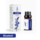 Premium Duft-Ätherische Öle für Diffuser