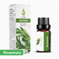 Premium Duft-Ätherische Öle für Diffuser