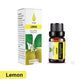 Premium Duft-Ätherische Öle für Diffuser