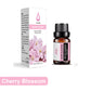Premium Duft-Ätherische Öle für Diffuser